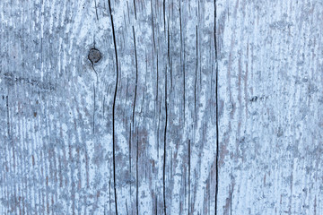 Naklejka premium Old wood texture. Dry wooden overlay texture.