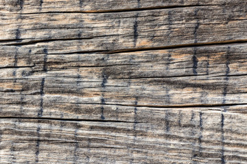 Old wood texture with natural pattern for design and decoration
