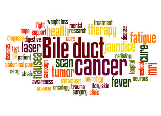 Obraz premium Bile duct cancer word cloud concept 2