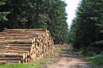 Alsace, massif des Vosges