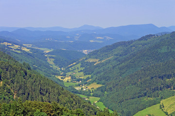 Fototapeta na wymiar Alsace, massif des Vosges
