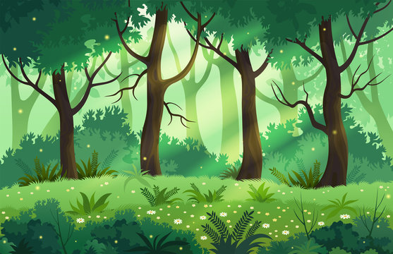 Summer fantasy forest landscape, vector illustration.