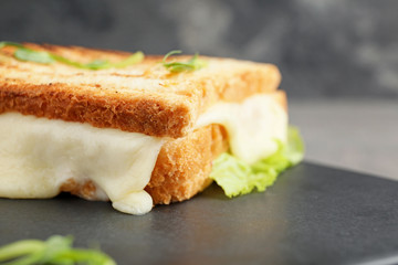 Tasty sandwich with cheese on board, closeup