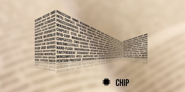 Chip