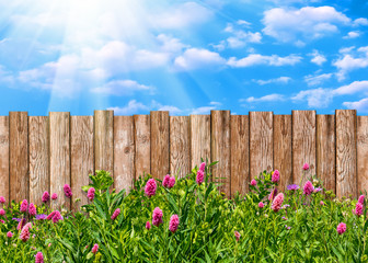 Wooden garden fence at backyard with green grass and flowers in spring