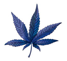 Realistic vector illustration of cannabis leaf. Blue marijuana leaf isolated. Vector eps 10.