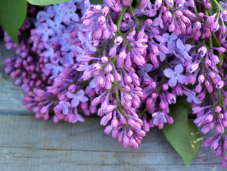 Bouquet of lilac on a wooden background. Beautiful spring floral composition. Postcard, congratulation.