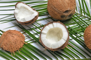 Ripe coconuts and palm leaves on white background