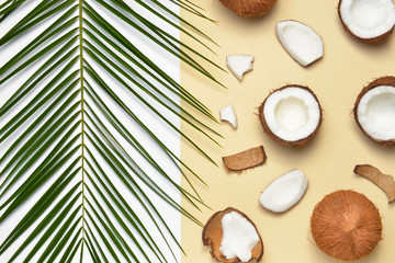 Fototapeta na wymiar Ripe coconuts and palm leaf on color background