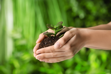 Female hands with plant on green background. Earth day celebration