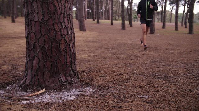 Man Jogging in Slow Motion with Pine Tree Forest Surrounding Him