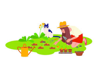 Fototapeta premium Woman in a hat planting gardens flowers. Gardening, flowers and plants, self-sufficiency concept, spring. Colorful cartoon vector illustration.