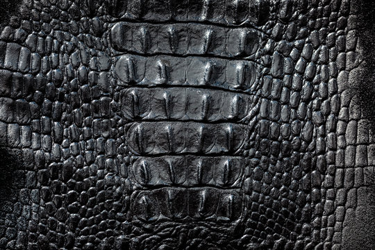 Black Leather texture, crocodile skin background. Stock Photo