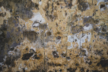 Grungy yellow background.