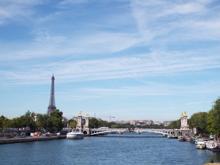 Fototapeta na wymiar The Eiffel tower standing out above the Paris skyline