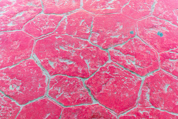 Red Paving Slabs - Close-up