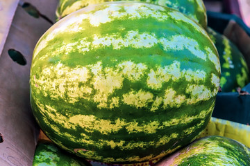 Ripe juicy watermelons in the market