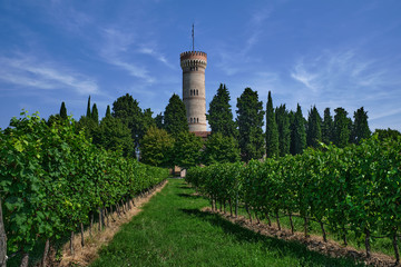 Tower of San Martino della Battaglia, Italy. Tower surrounded by vineyards, blue sky