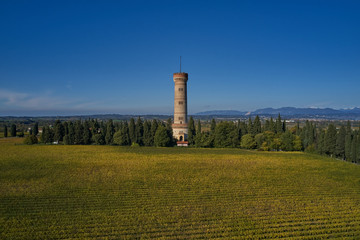 Fototapeta na wymiar Tower of San Martino della Battaglia, Italy. Autumn season, tower surrounded by vineyards, blue sky