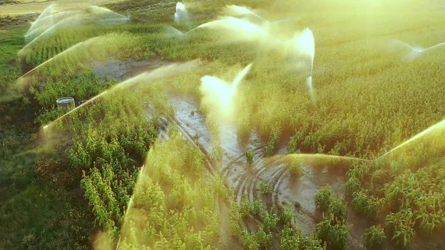 Farmland with watering. Navarre, Spain, Europe. Aerial view. 4K.