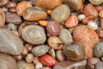 Obraz premium Colourful Pebbles