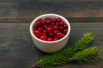 Ripe fresh cranberries in a bowl with pine branch on rustic wooden background. Winter healthy eating. Organic and vegetarian food contain vitamin c. Close up, copy space for text
