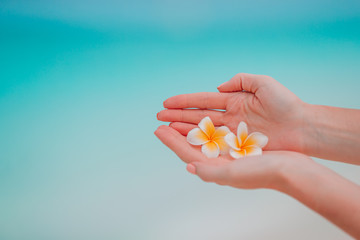Beautiful frangipani flowers in hands background turquoise sea on white beach