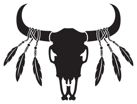 Native American bull or cow skull with feathers (vector illustration)