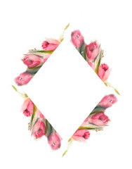 Watercolor set with fluffy pussy-willow and tulips easter frames. Suitable for greeting cards, valentines, easter cards, invitations, stationery