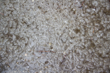 background with texture wet ice in the water