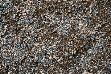 The texture of a shallow river stone. Pebble Background Image