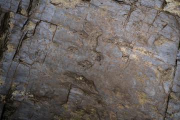 Texture of wet stone covered with moss. Background image of macro photography texture stone