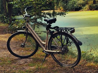 Fototapeta premium Bicicleta aparcada junto a un lago verde con mucha vegatación en el parque Tiergarten de Berlín