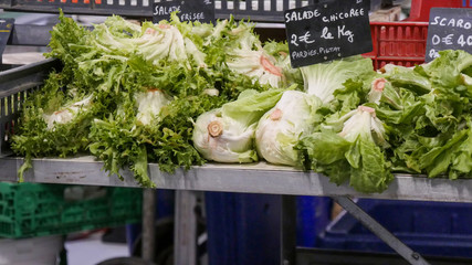 organic escarole salad on the market - obrazy, fototapety, plakaty