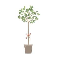 Fototapeta premium Flowers and plants in pots isolated on white