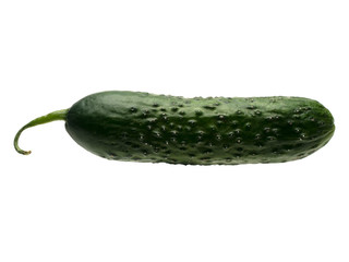 Graphic resources isolated object of cucumber on a white background