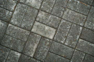 Texture of paving slabs overgrown with grass. Background image of a stratum stone