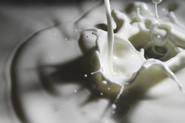 Milk splash