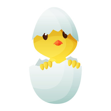 Cute little cartoon chick hatched from an egg isolated on a white background. Funny yellow chicken. Vector illustration of little chicken for children