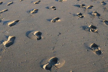 The Crowd, human footprints on sands.
