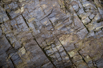 Texture of wet stone covered with moss. Background image of macro photography texture stone