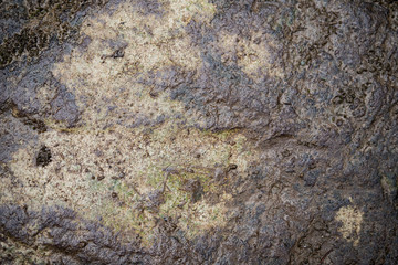 Texture of wet stone covered with moss. Background image of macro photography texture stone