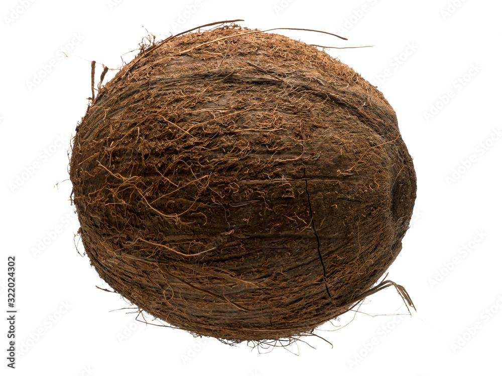 Wall mural graphic resources of an isolated coconut object on a white background