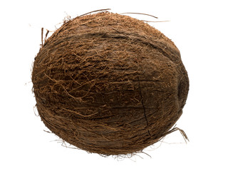 Graphic resources of an isolated coconut object on a white background