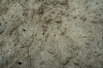 Texture of dried cracked clay. Macro background image of dried clay