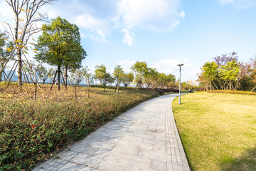 road in park