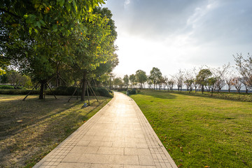 road in park