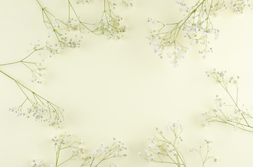 Frame from gypsophila branches on a yellow paper background.