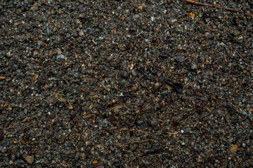 The texture of a shallow river stone. Pebble Background Image