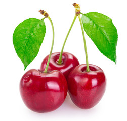Fresh cherry on white background
